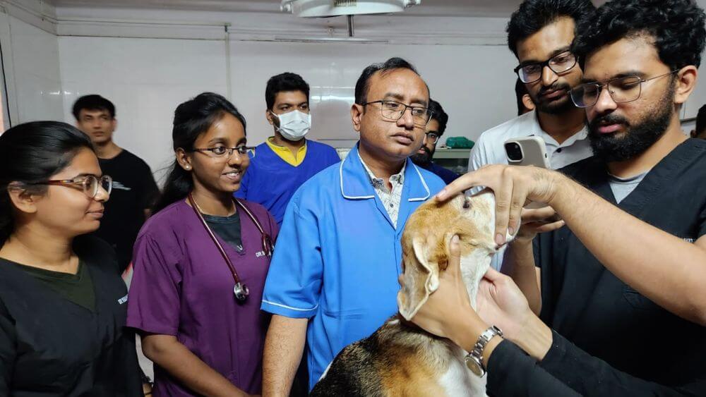 Eye checkup camp for animals