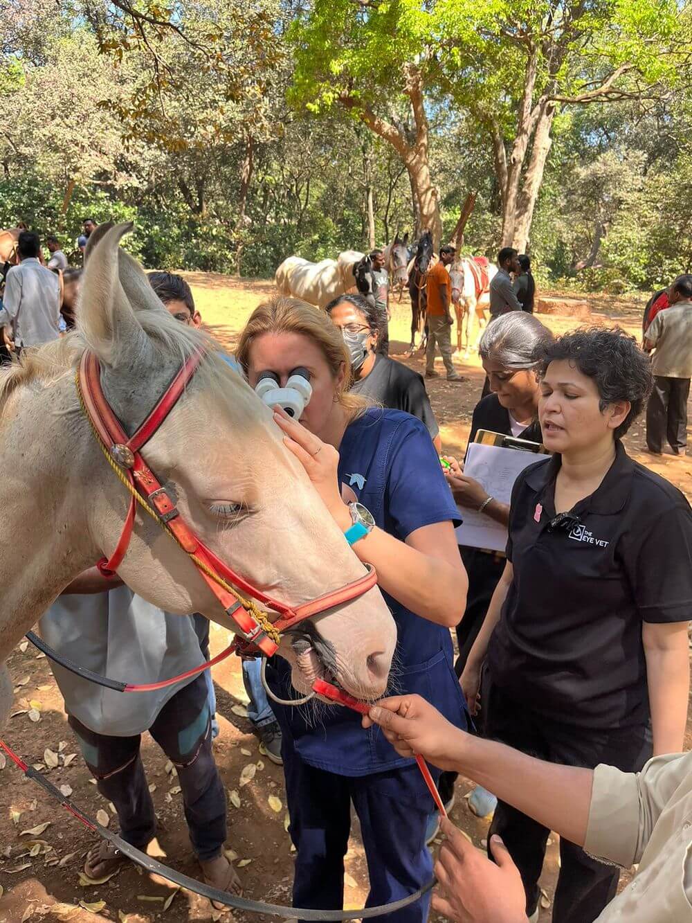 Matheran Horse Eye Checkup Camp