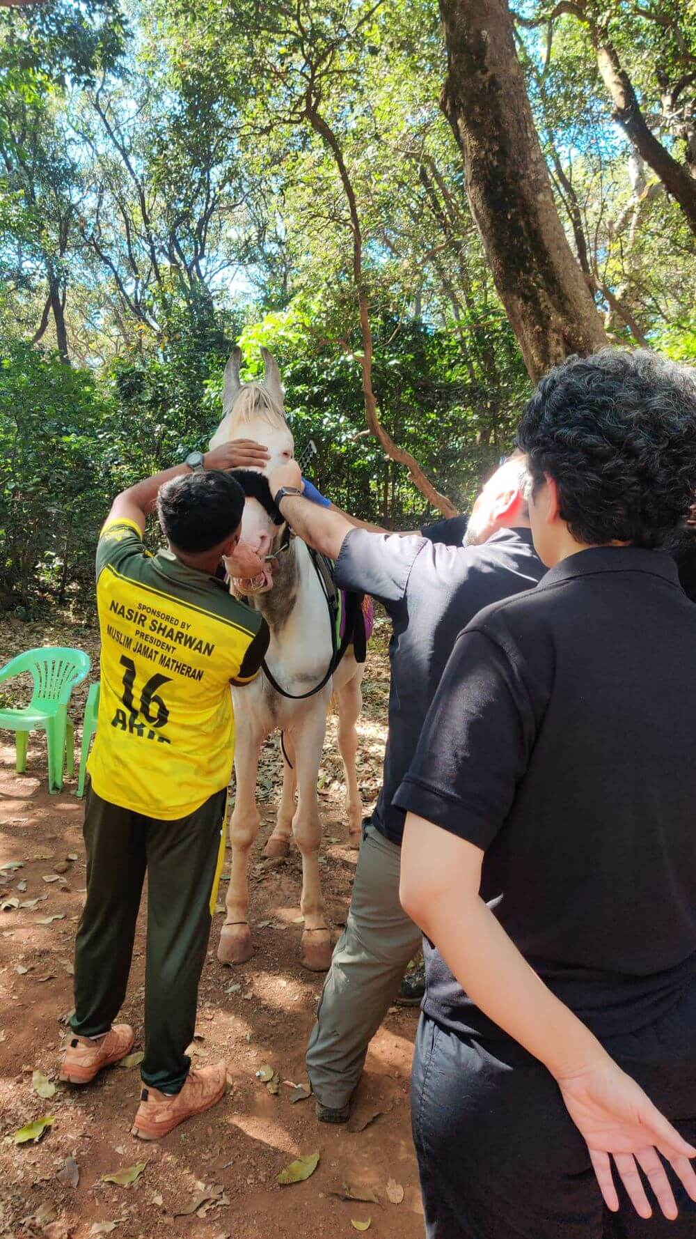 Matheran Horse Eye Checkup Camp