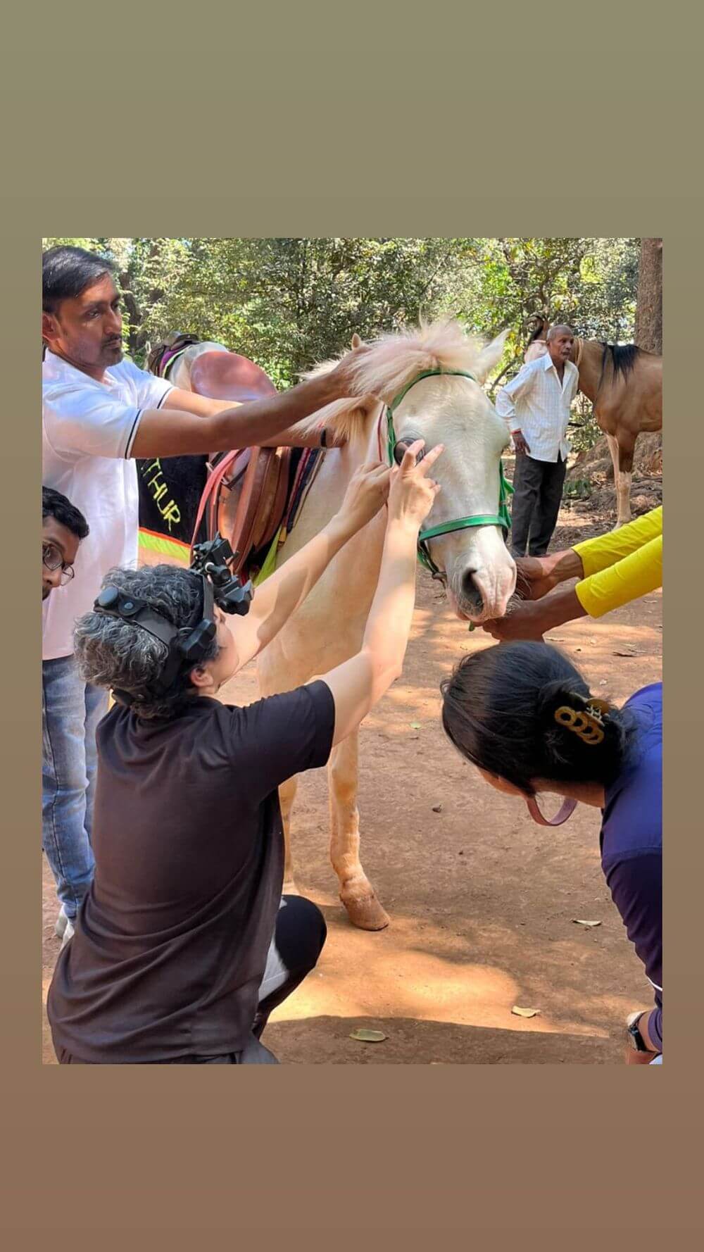 Matheran Horse Eye Checkup Camp