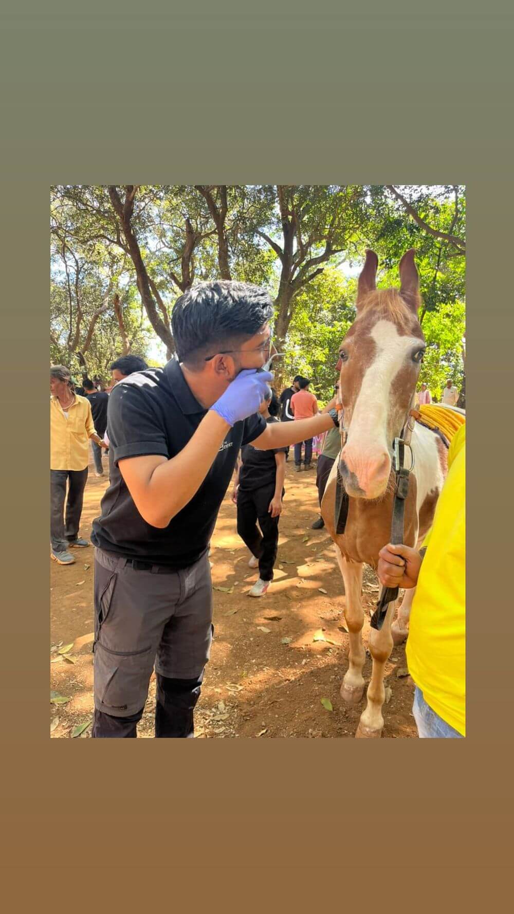 Matheran Horse Eye Checkup Camp