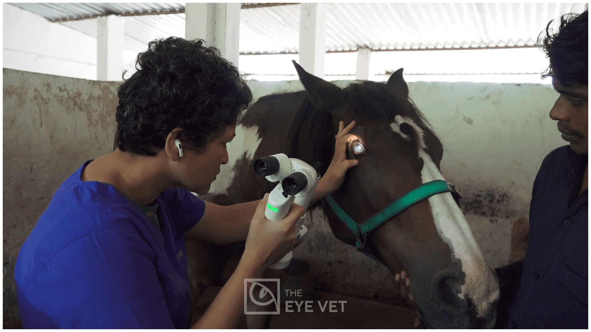 Equine Services7