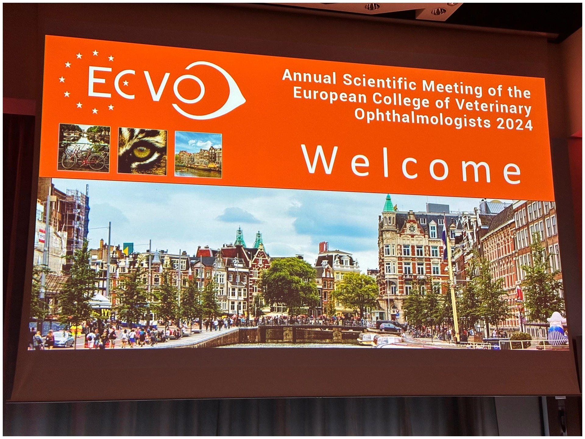 tev-ECVO-conference-01